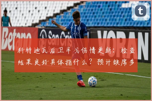 科特迪瓦后卫辛戈伤情更新：检查结果良好具体指什么？预计缺席多久，对2026世界杯预选赛有何影响