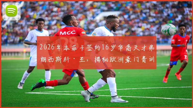 2026年本菲卡签约16岁华裔天才弗朗西斯科·王，揭秘欧洲豪门青训合同与华裔球员崛起之路