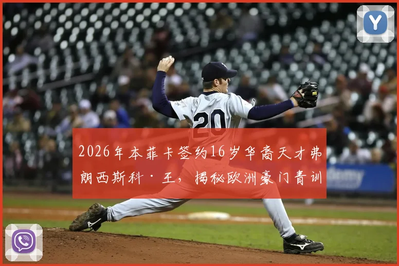 2026年本菲卡签约16岁华裔天才弗朗西斯科·王，揭秘欧洲豪门青训合同与华裔球员崛起之路